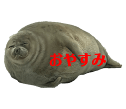 633564625