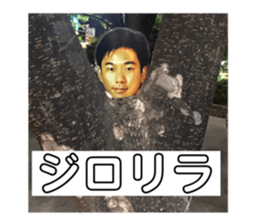 633566475