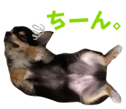 633567880
