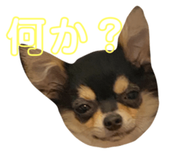 633567881