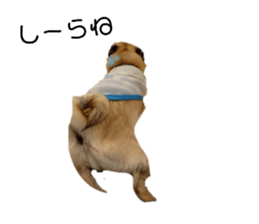 633575201