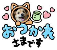 633575729