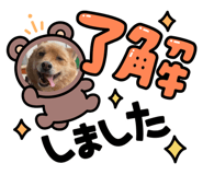633575731