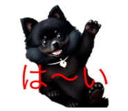 633578446