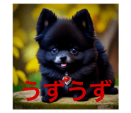 633578447