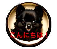 633578451