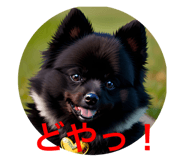 633578453