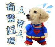 633581263