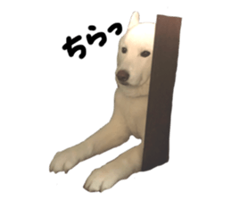 633585991
