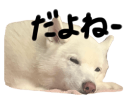 633585995