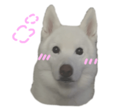 633585996