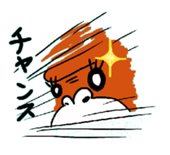 6336003