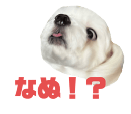 633611458