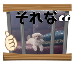 633624322