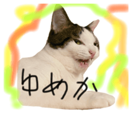 633652446
