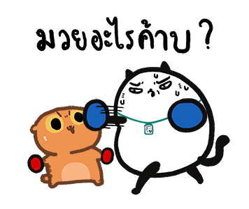 ปลาฉ้มฝึกงาน รูปที่ 2