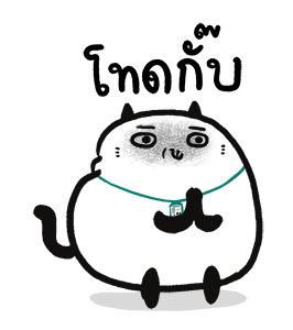 ปลาฉ้มฝึกงาน รูปที่ 11