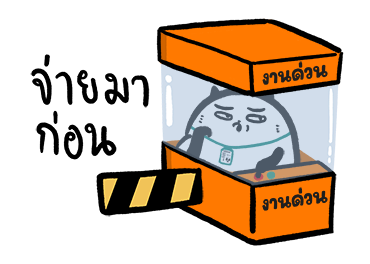 ปลาฉ้มฝึกงาน รูปที่ 15