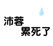 633658546