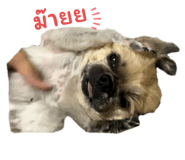 633660735