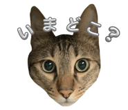 633670125