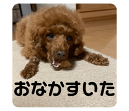 633670682