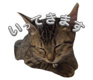 633677508
