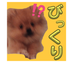 633710053
