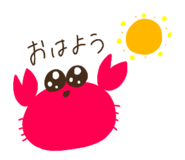 633718852