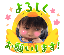 633767517