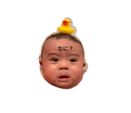 633770384
