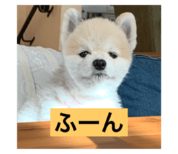633776873
