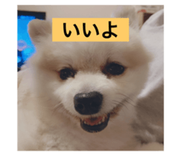 633776876