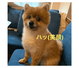633776882