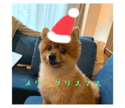 633776887
