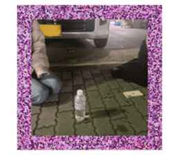 633778425