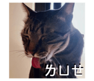 633794791
