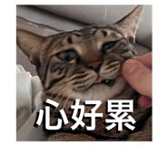 633794793
