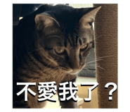 633794802