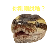 633826611