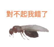 633826618