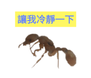 633826620