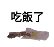 633826621