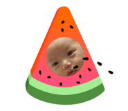 633838315