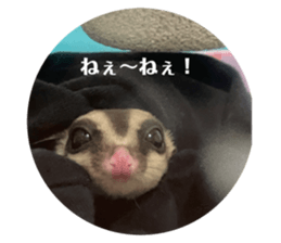 633850500