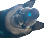 633890161