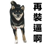633890170