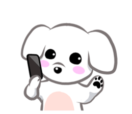 6339116