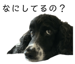 633929787