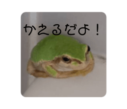 634001816